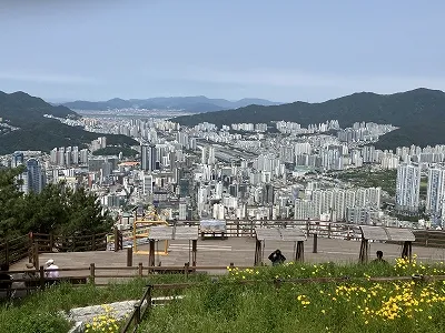 荒嶺山より釜山の市街地を見る