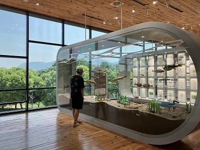 センターの展示室と外部空間