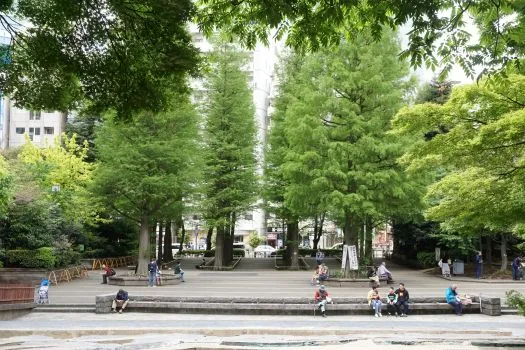 滝から広場と並木を見る