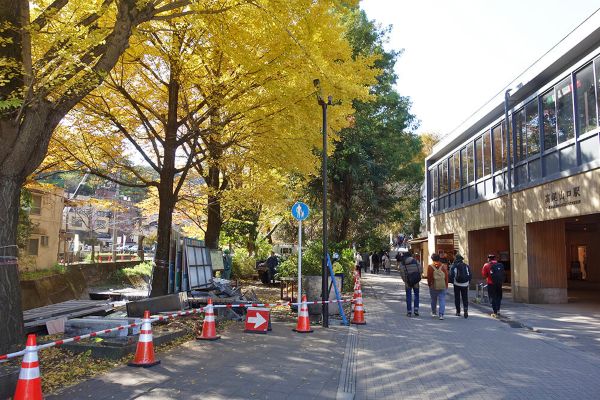 川を見通せない鬱蒼とした空間だった従前の様子