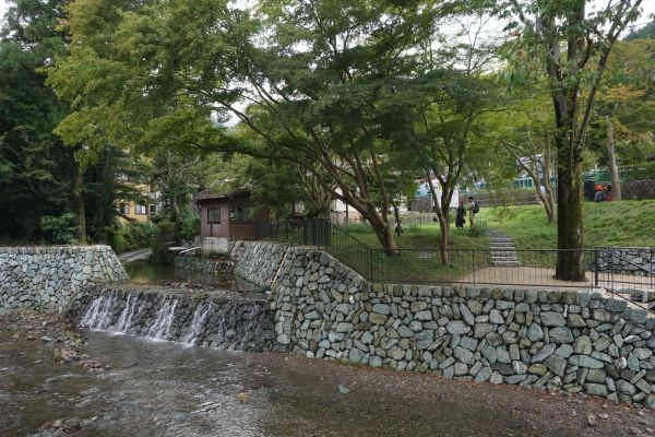 既存樹を整理し見通し良い水辺空間に改善