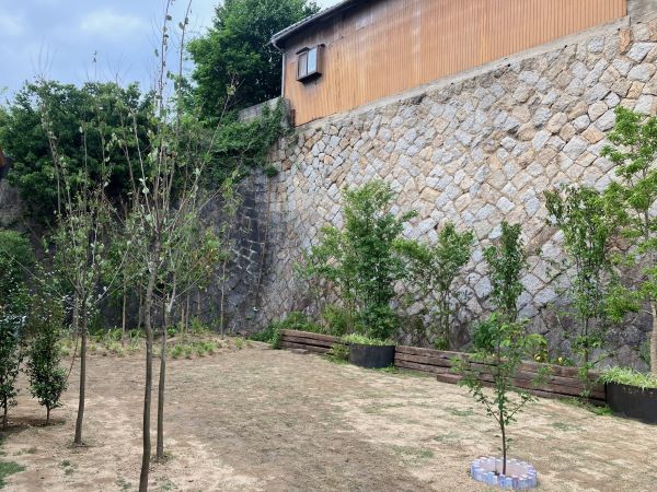 高い石積の前庭園、まだ目土で芝生が見えない 