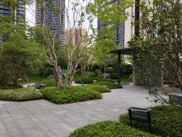 疎林之丘を背景にした枯山水之庭