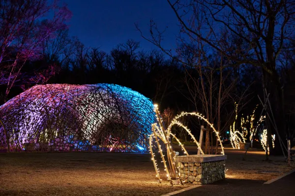 あさか冬のあかりテラス