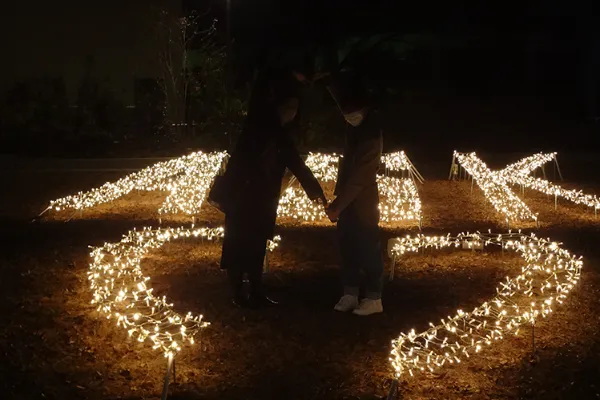 あさか冬のあかりテラス