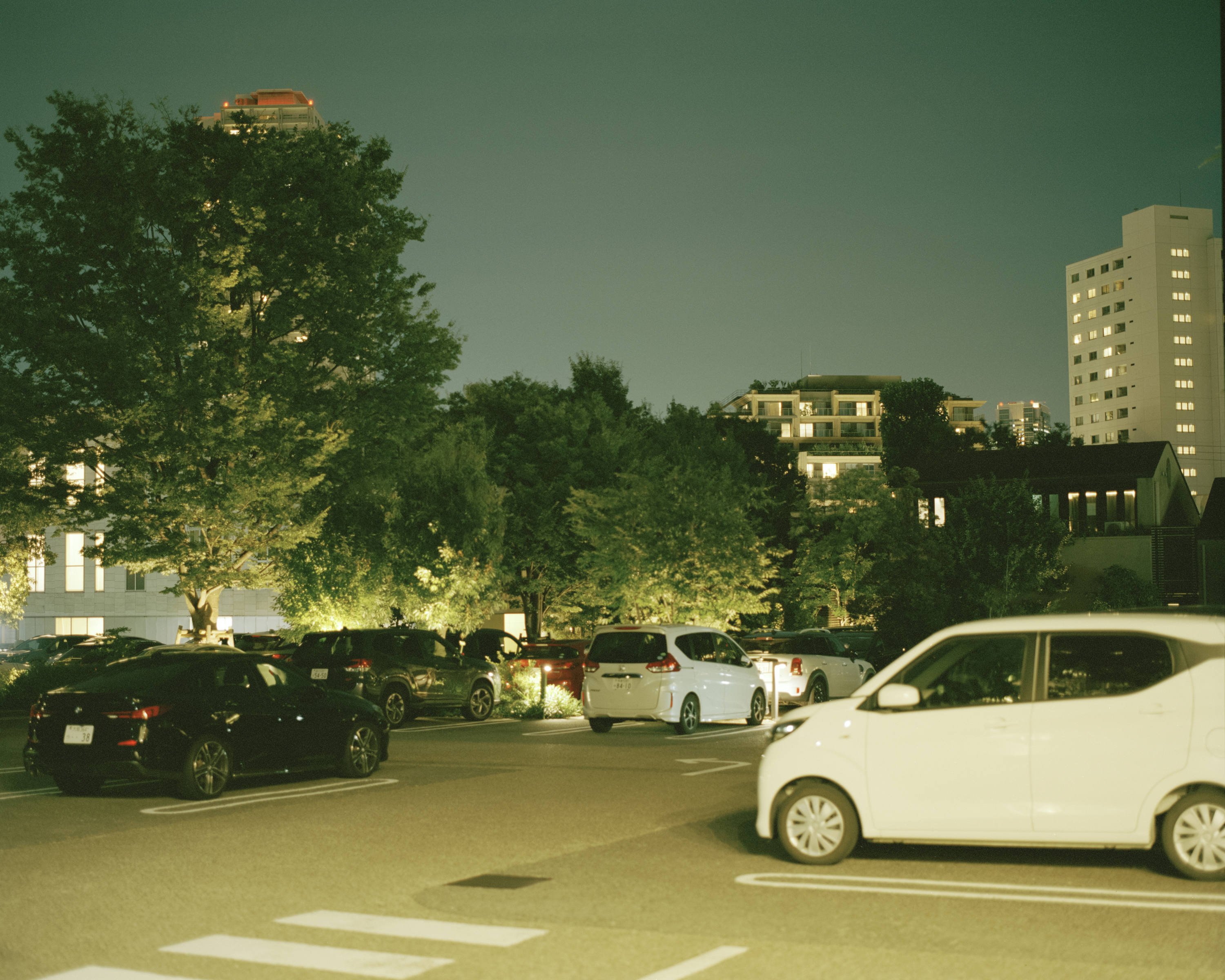 服部恭平「気持ちね」 ｜SHABA KAGURAZAKA