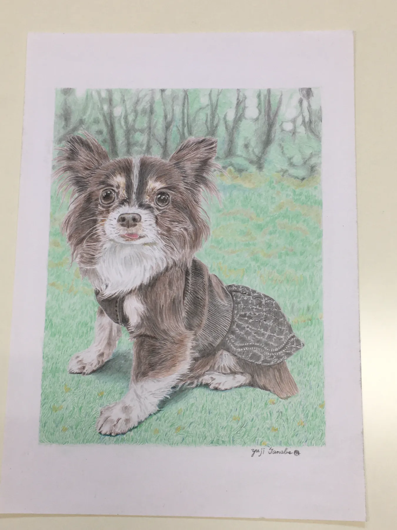 専用　色鉛筆画　原画　オーダーページです 専用 色鉛筆画 原画 オーダーページです 専用 色鉛筆画 原画