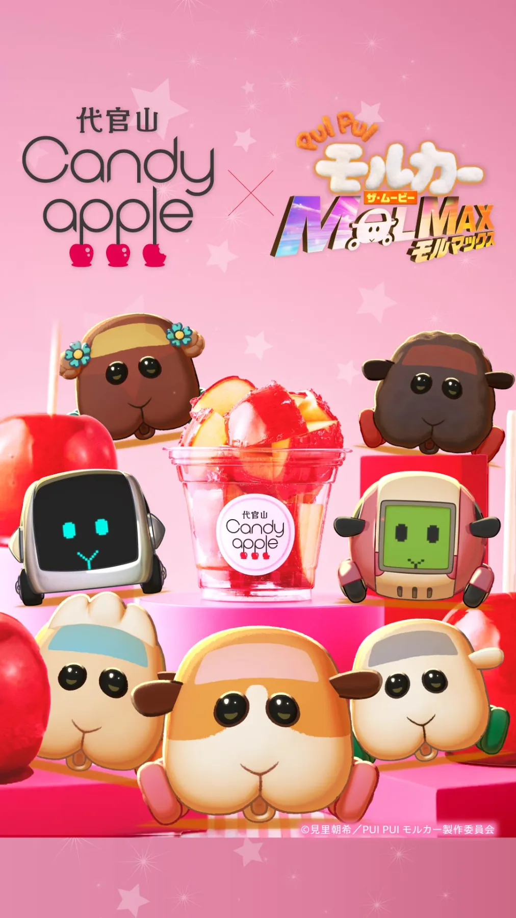 代官山Candy apple | お知らせ