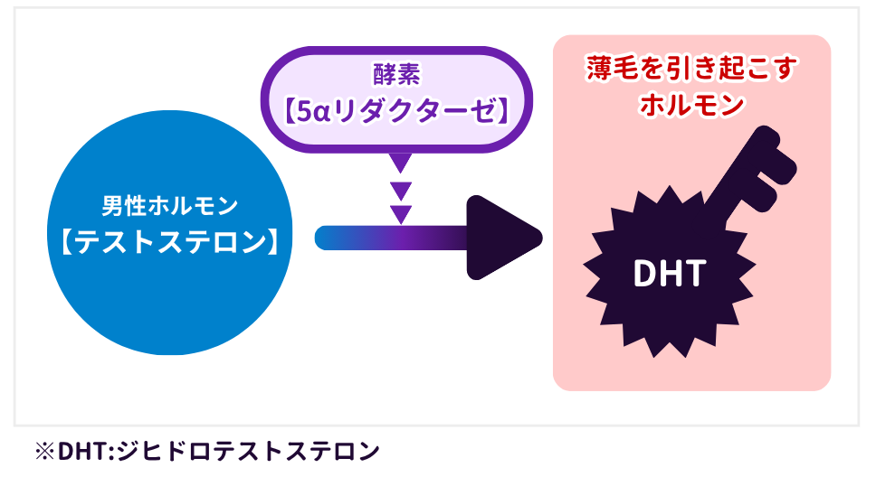 AGA #2】進行タイプと治療法を解説｜前髪・頭頂部が薄くなる理由とは