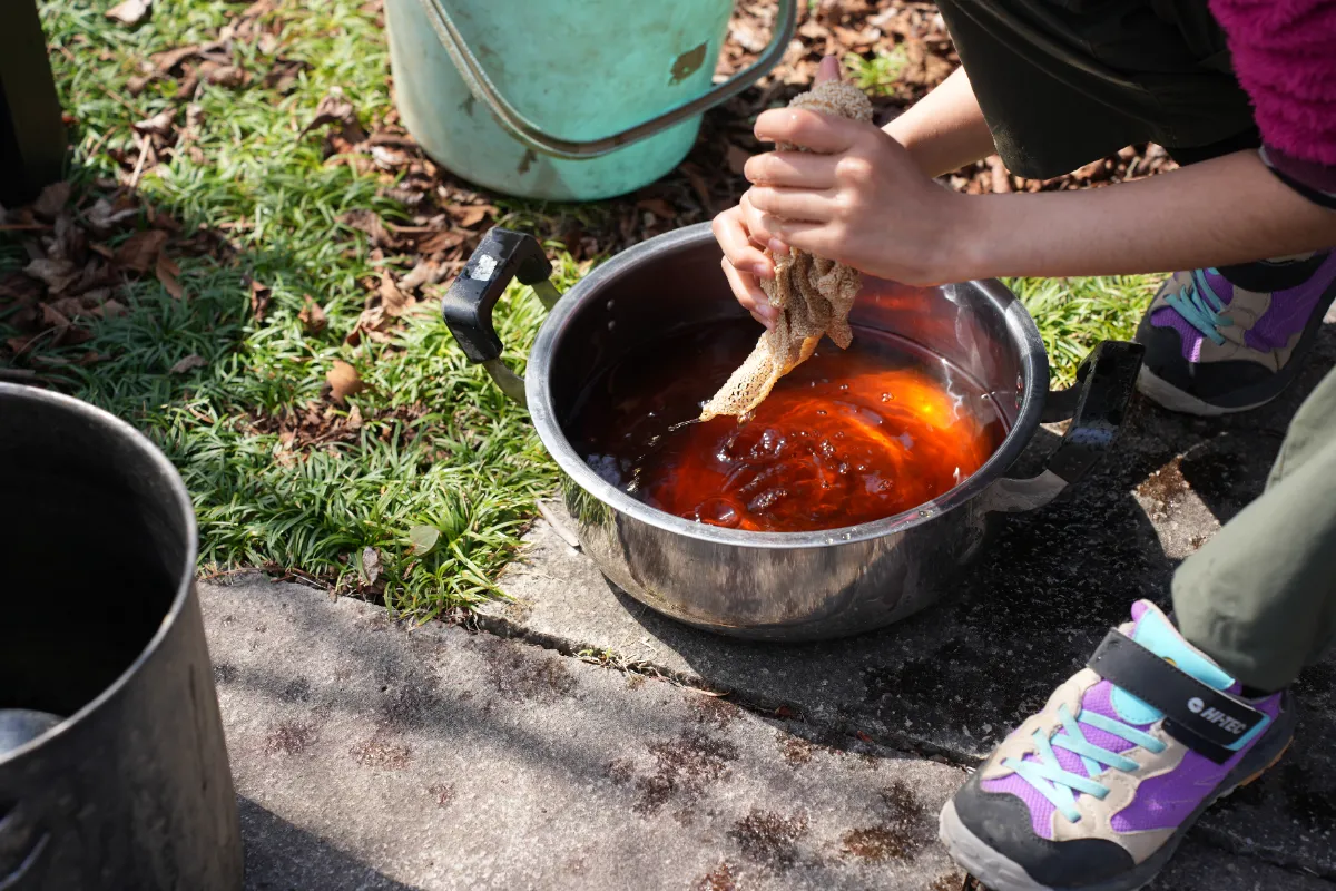 五日市に伝わる幻の絹織物「黒八丈」復活物語/糸工房「森」