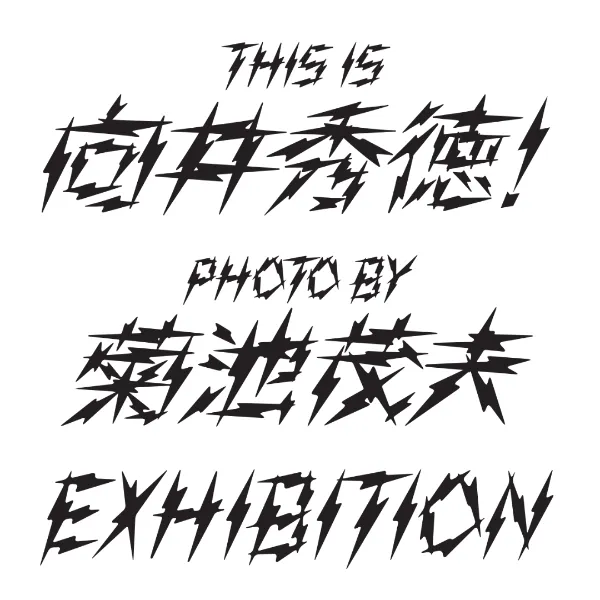 B2プリント 向井秀徳 【公式通販】