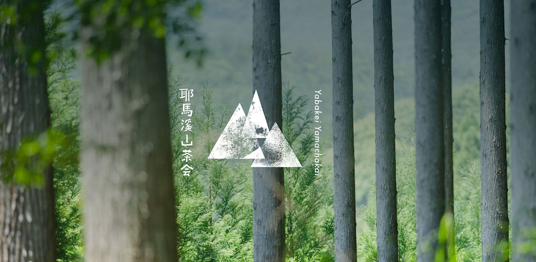 テンポラリ耶馬溪 Temporary Yabakei