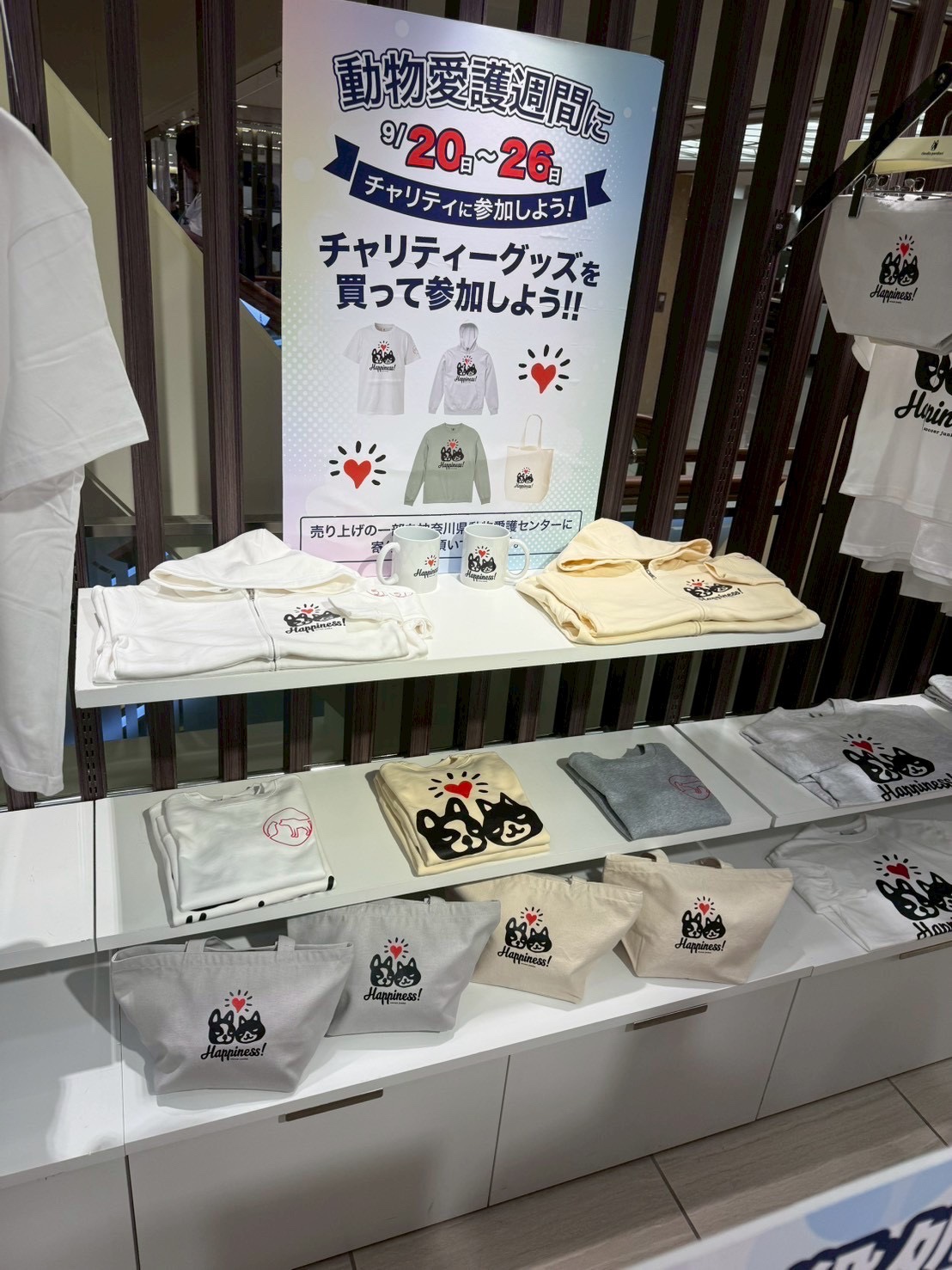 横浜高島屋でPOP UP開催 │claudio pandiani