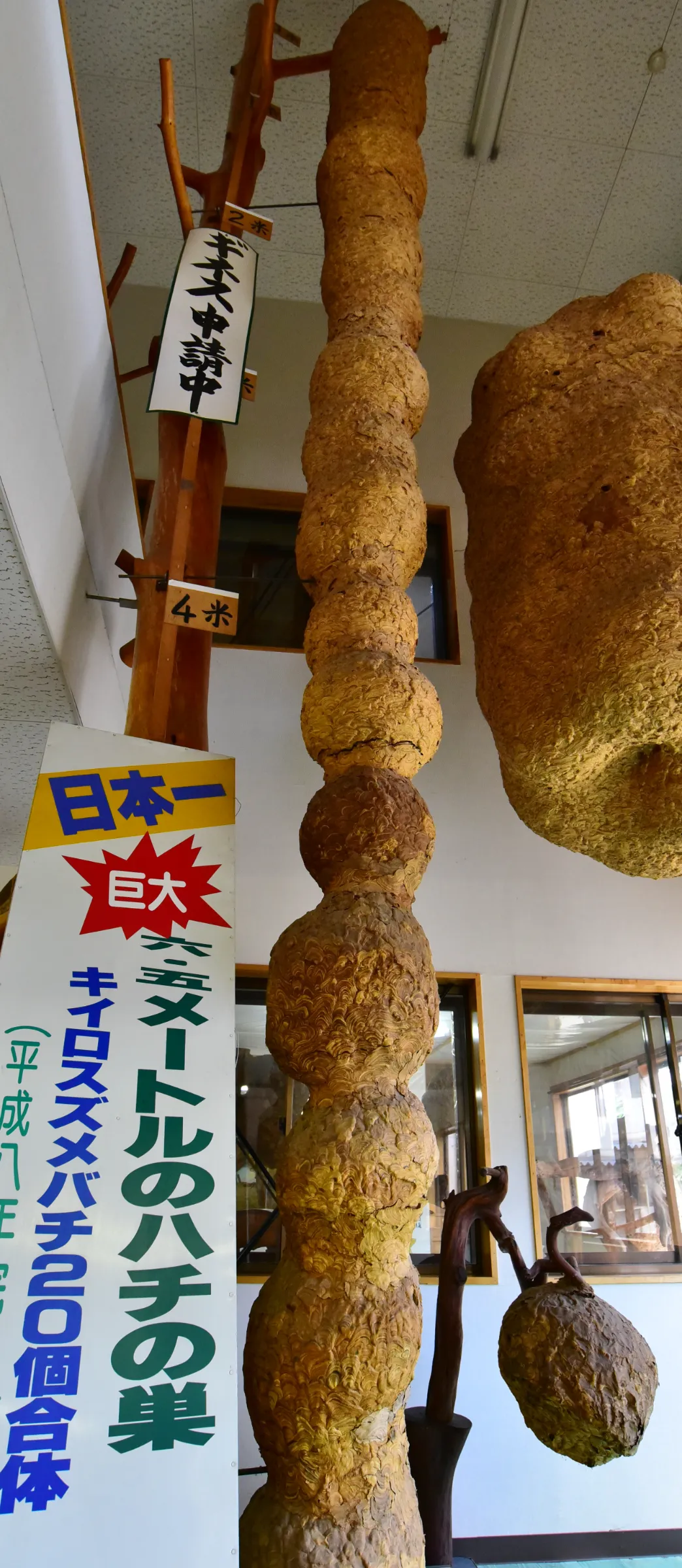 ZIPANG TOURISM: ジパングツーリズム | 日本をよりディープに旅する