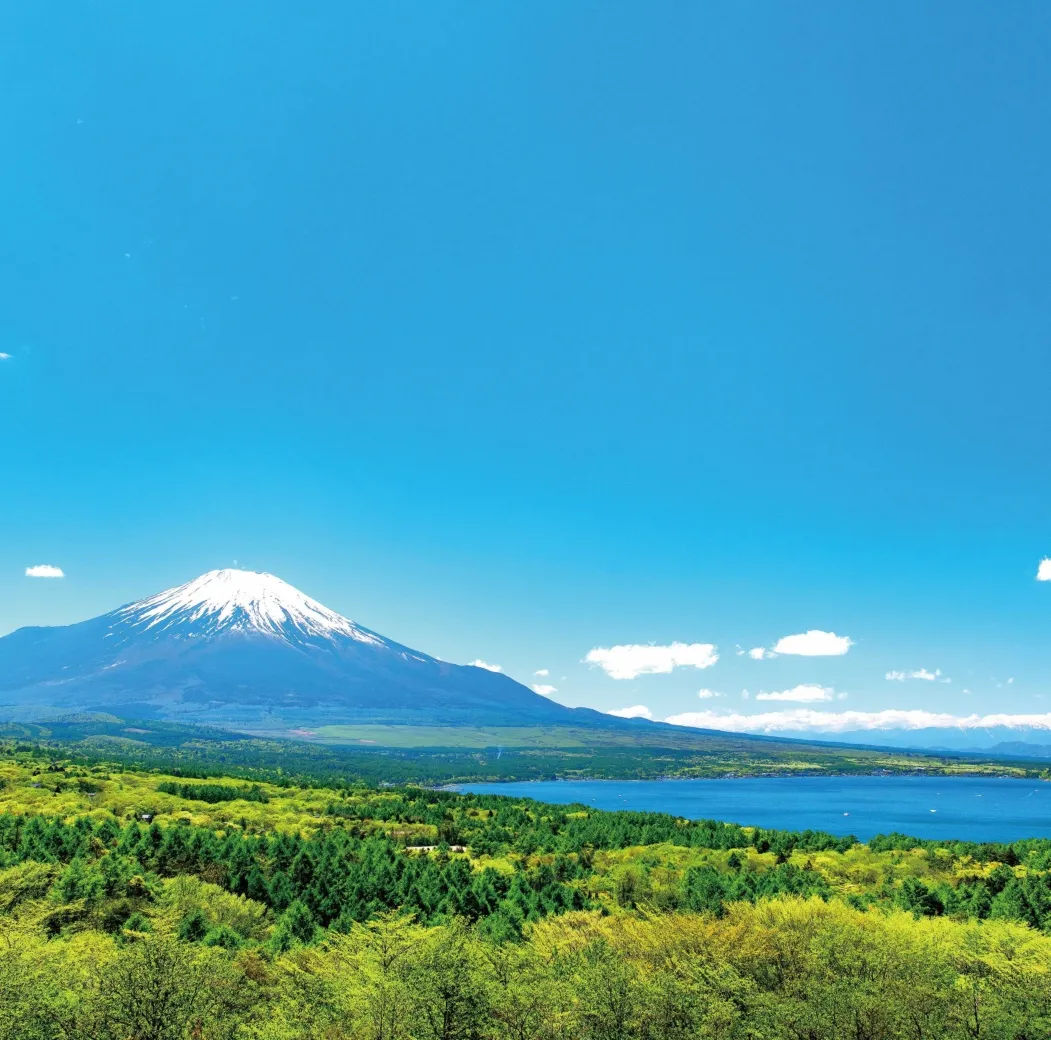ZIPANG TOURISM: ジパングツーリズム | 日本をよりディープに旅する