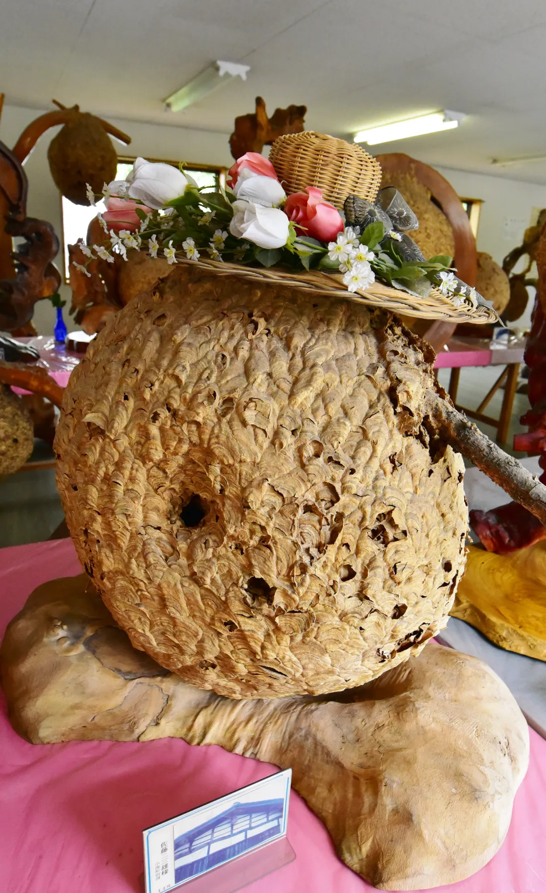 ZIPANG TOURISM: ジパングツーリズム | 日本をよりディープに旅する