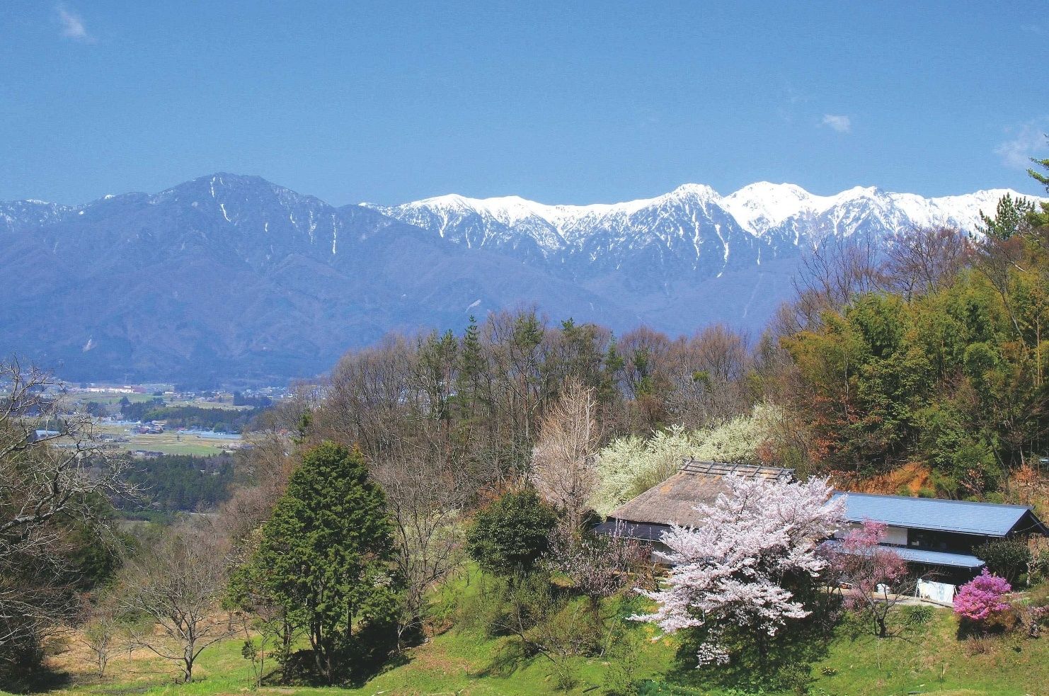 ZIPANG TOURISM: ジパングツーリズム | 日本をよりディープに旅