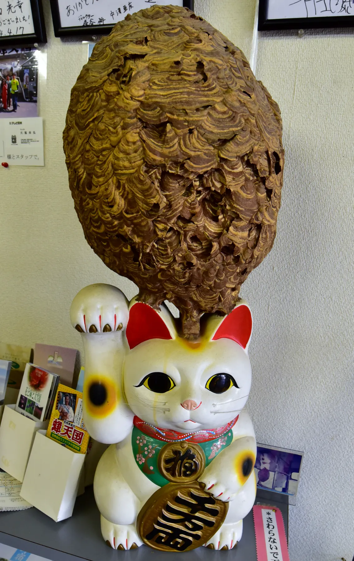 ZIPANG TOURISM: ジパングツーリズム | 日本をよりディープに旅する