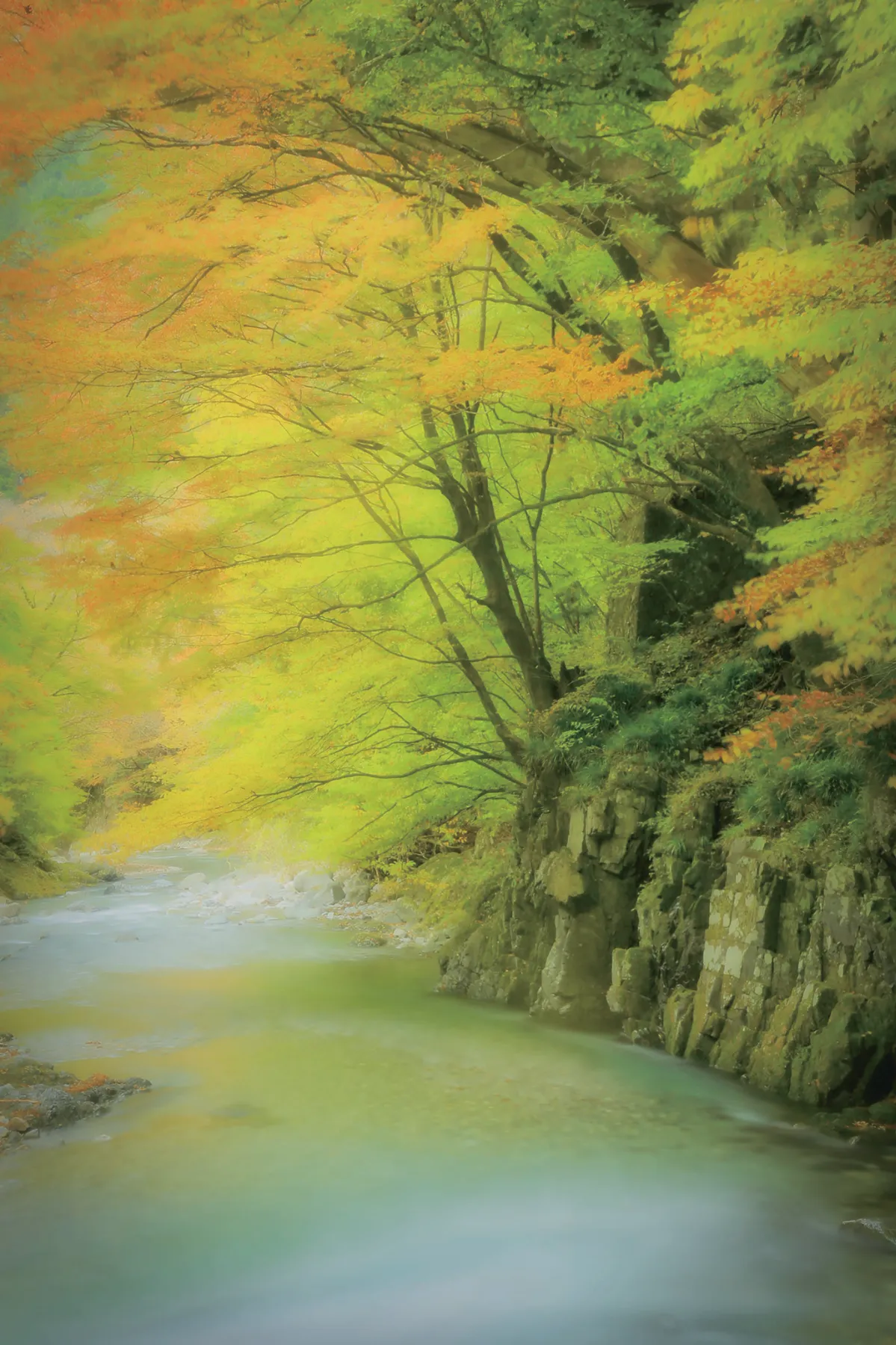 ZIPANG TOURISM: ジパングツーリズム | 日本をよりディープに旅する