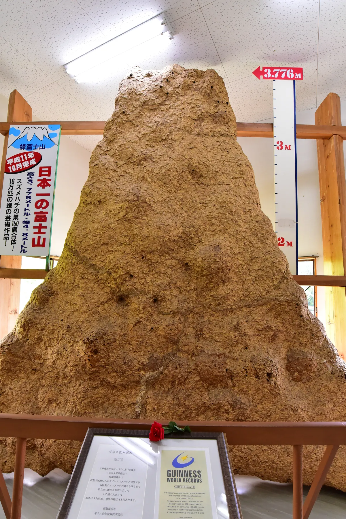 ZIPANG TOURISM: ジパングツーリズム | 日本をよりディープに旅する