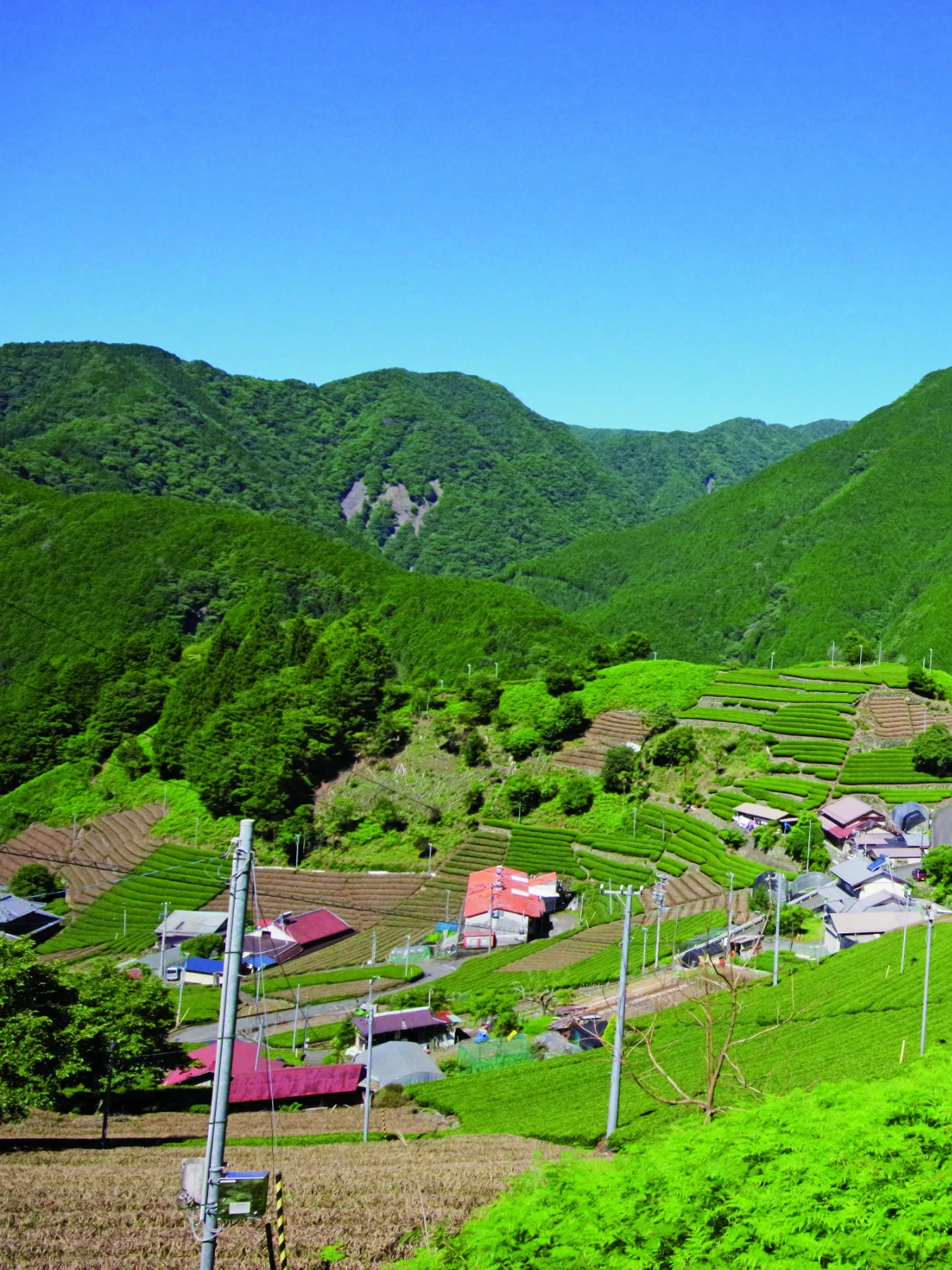 zipang　流出　画像 ZIPANG TOURISM: ジパングツーリズム | 日本をよりディープに旅するためのWebメディア