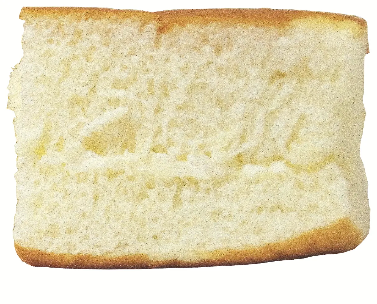 ZIPANG TOURISM: ジパングツーリズム | 日本をよりディープに旅する