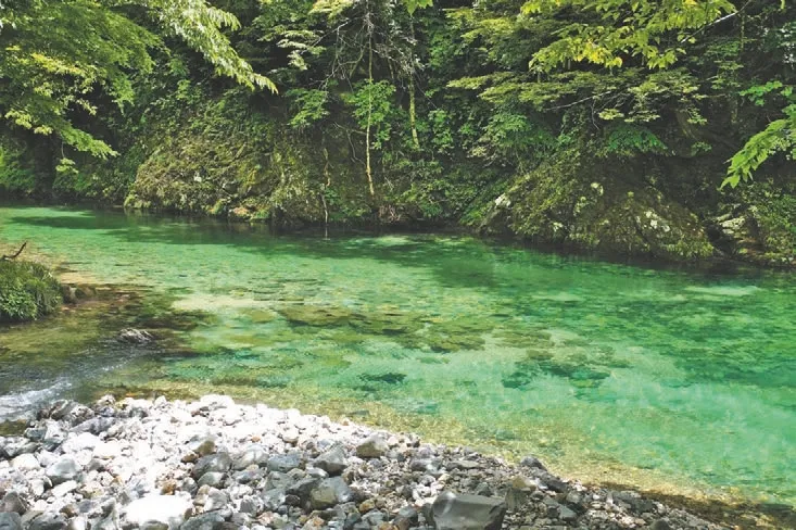 ZIPANG TOURISM: ジパングツーリズム | 日本をよりディープに旅する