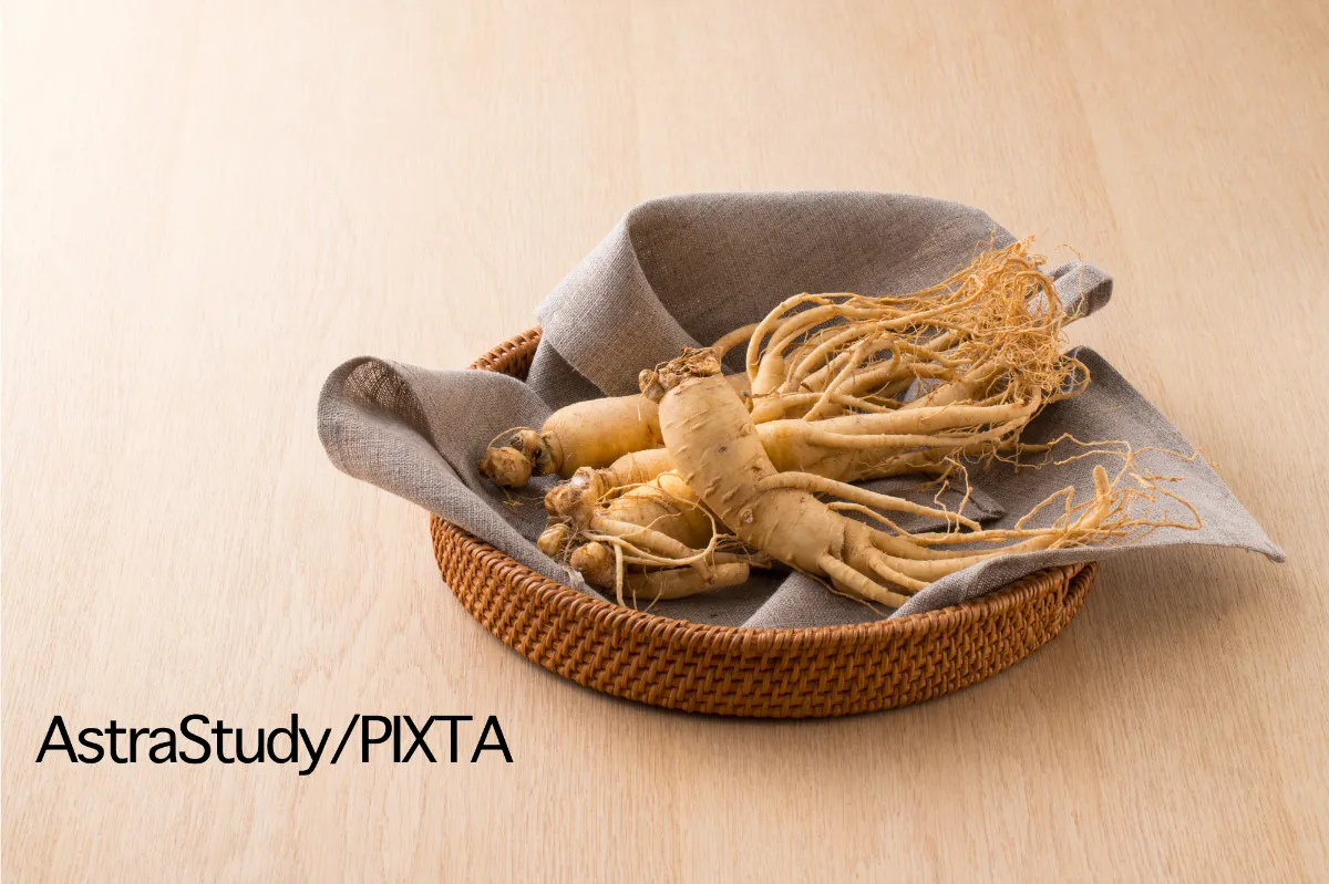 天然トチバニンジン　乾燥品１０００グラム　チクセツニンジン 天然トチバニンジン乾燥品1000グラム チクセツニンジン