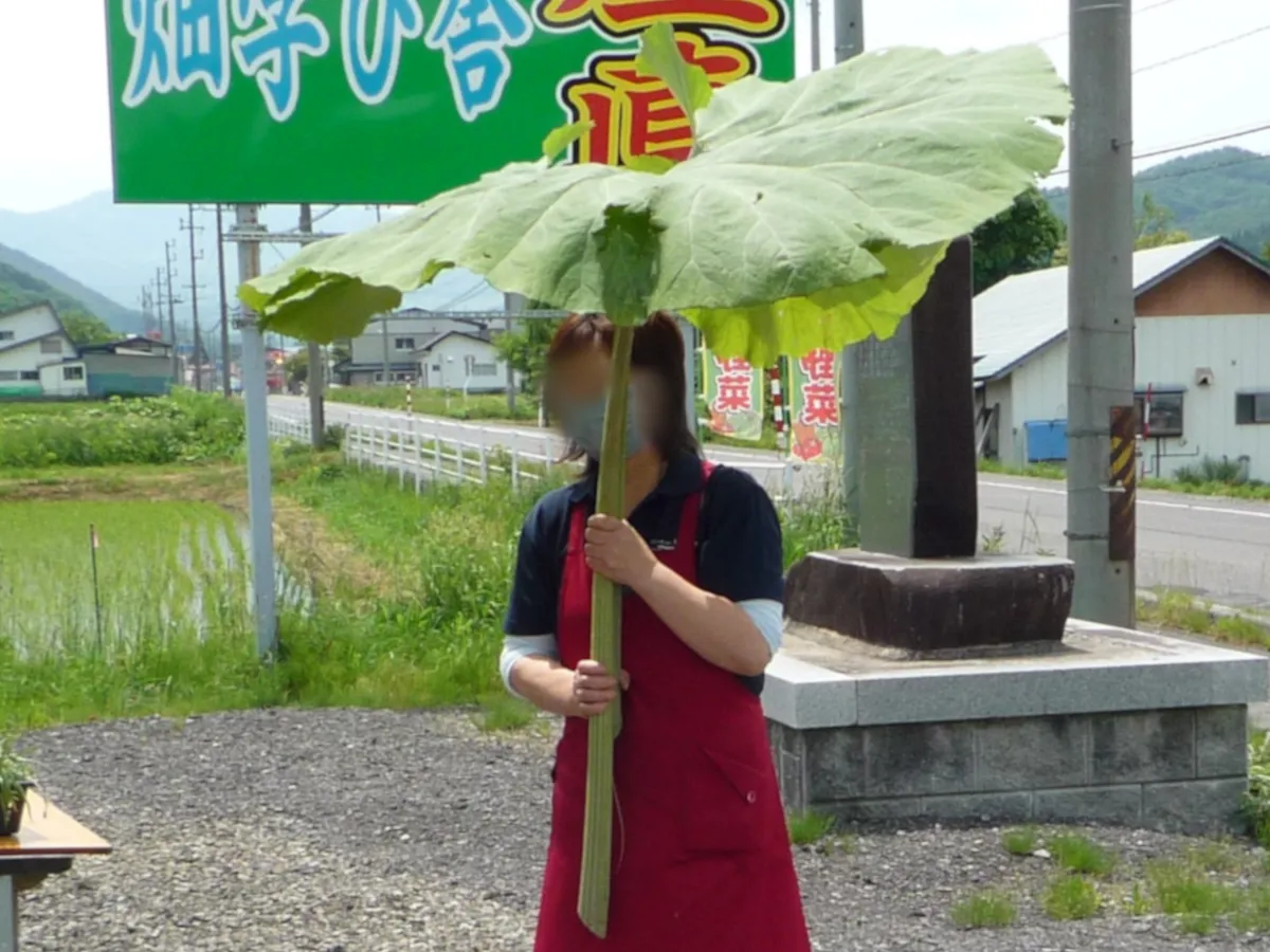 Omose おもせ 八幡平市の魅力を発信していくメディア