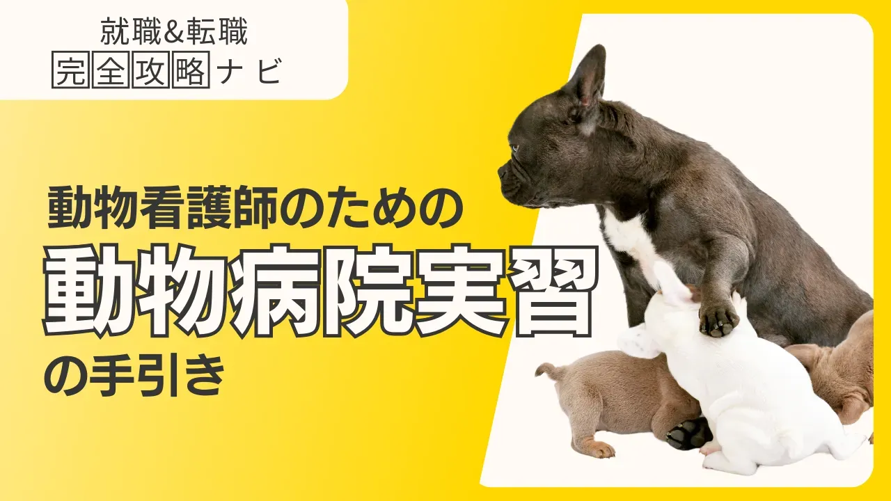 動物看護学生が必要そうな物！
