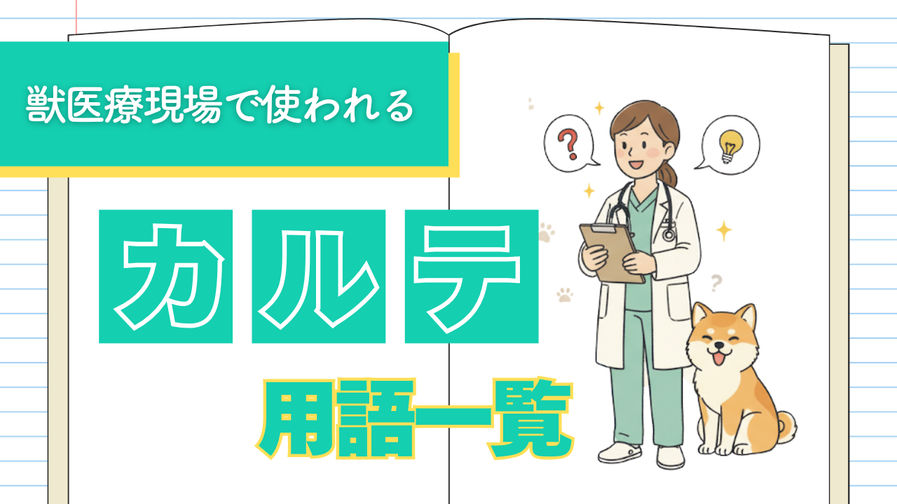 動物看護用語辞典 Amazon.co.jp: 動物看護用語辞典 : 石岡 克己, 一般社団法人