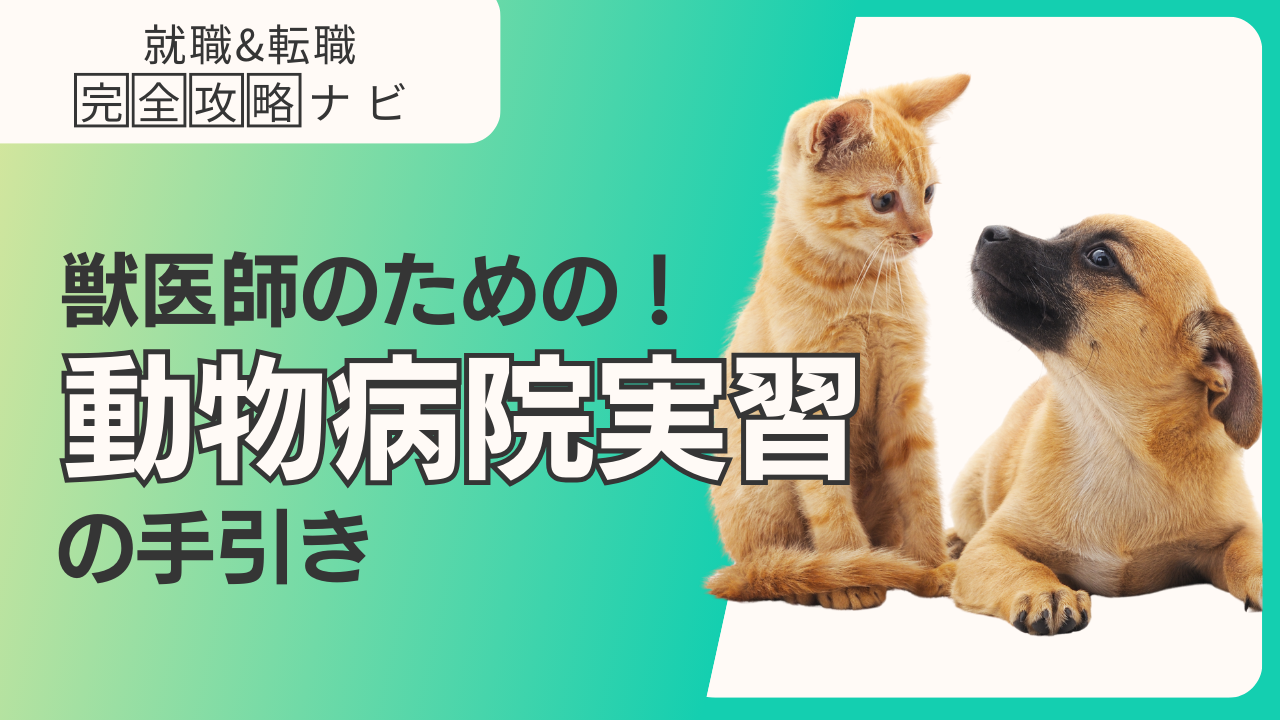 獣医学生必見】vetOSCE(オスキー)直前ガイド|概要編 獣医学生必見】vetOSCE(オスキー)直前ガイド|概要編