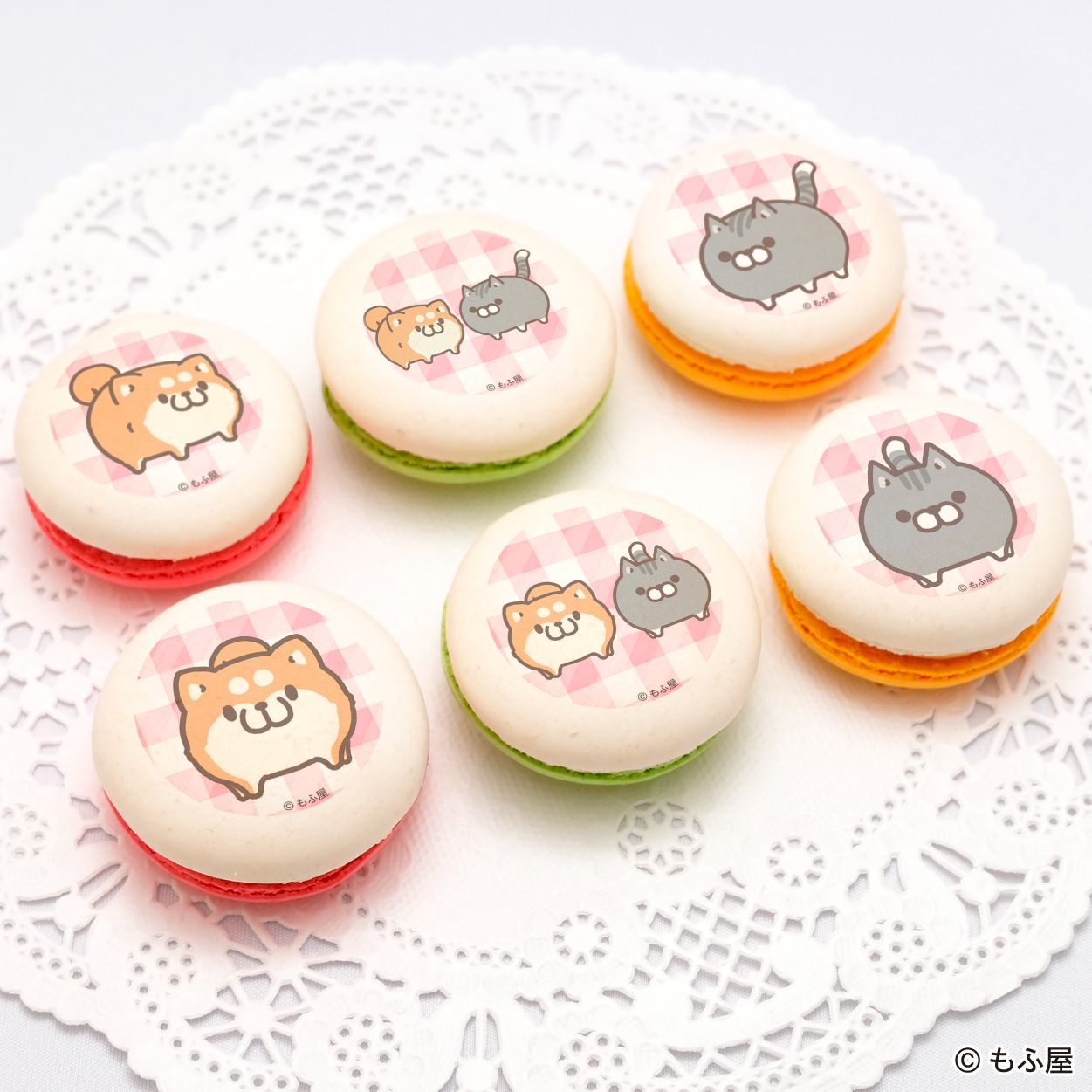 ボンレス犬とボンレス猫 プリケーキに新デザイン登場 (PRIROLL) | LINE