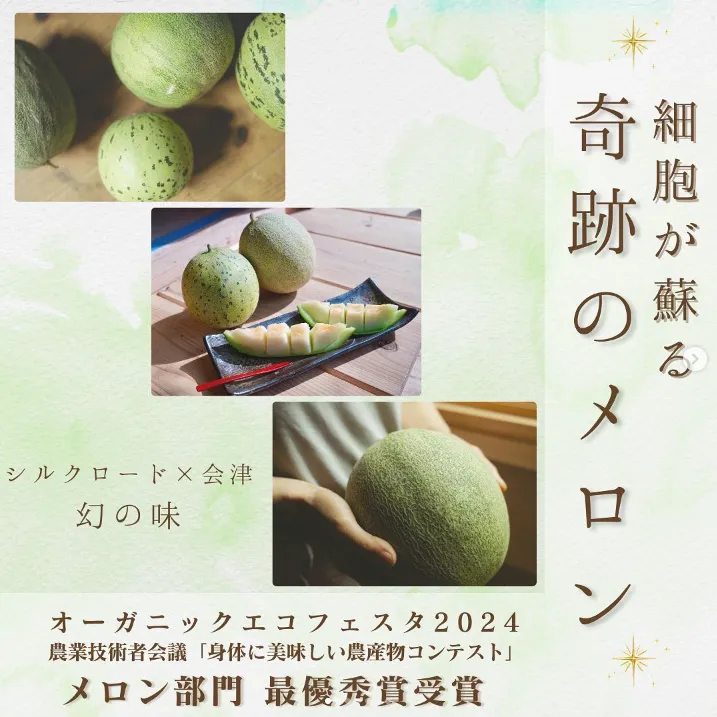 奇跡のメロン、日本一に選ばれました！ - Our Melon got the first