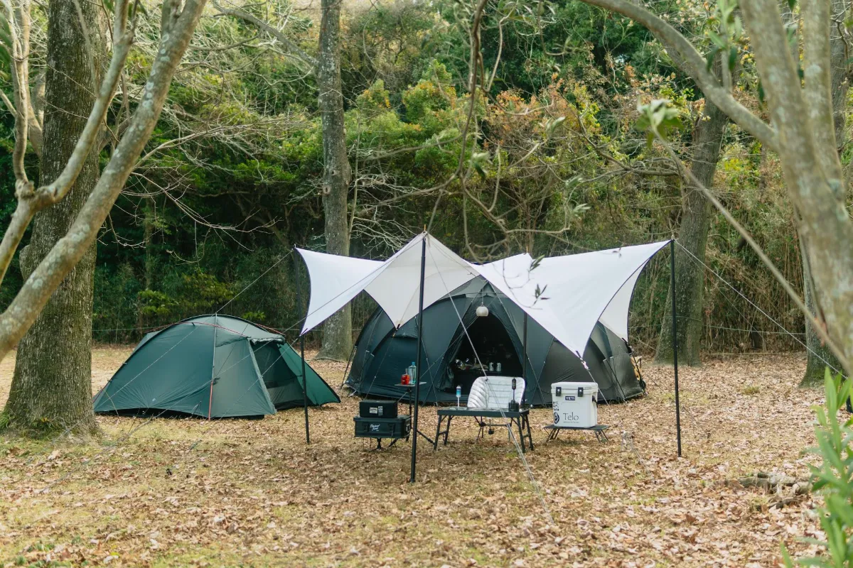 小さな工場からフィールドへ。Teloが生む“繋がり” | FORENT