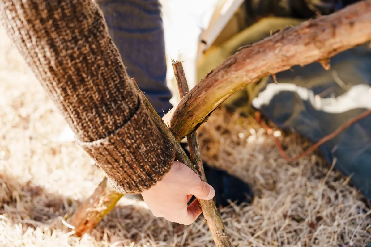 森の魅力を伝える、クラフトマン | FORENT