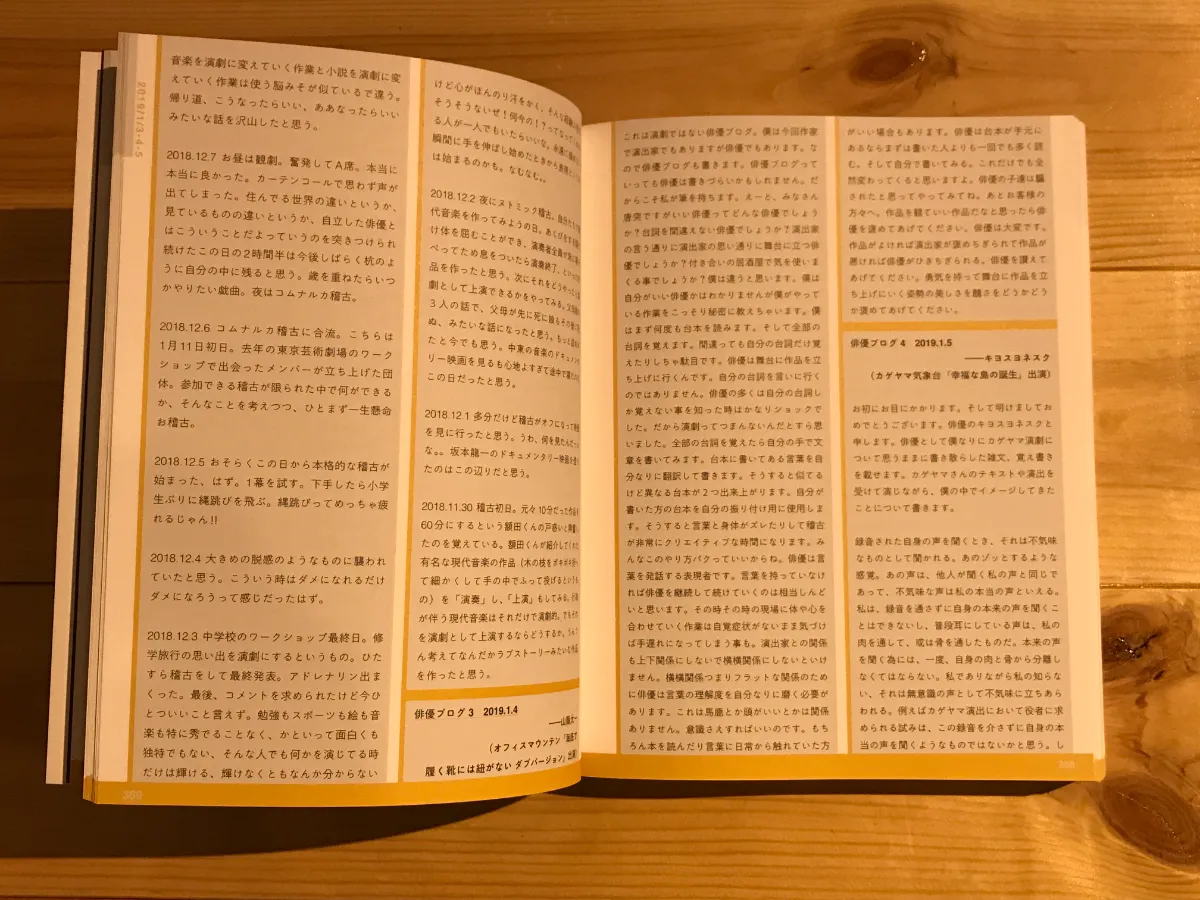 これは演劇ではない DOCUMENT BOOK』（いぬのせなか座：装釘