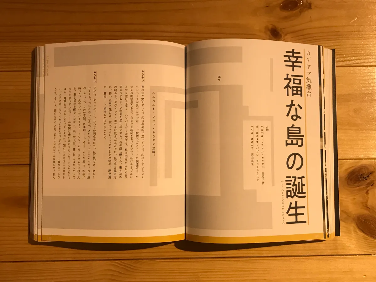 これは演劇ではない DOCUMENT BOOK