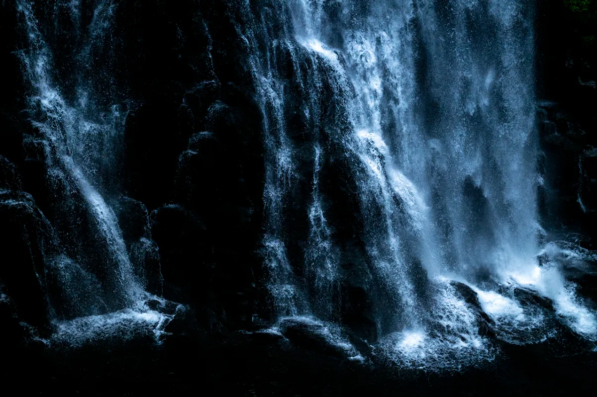 新 良太 写真 展 | 豊島区立熊谷守一美術館 | Kumagai Morikazu