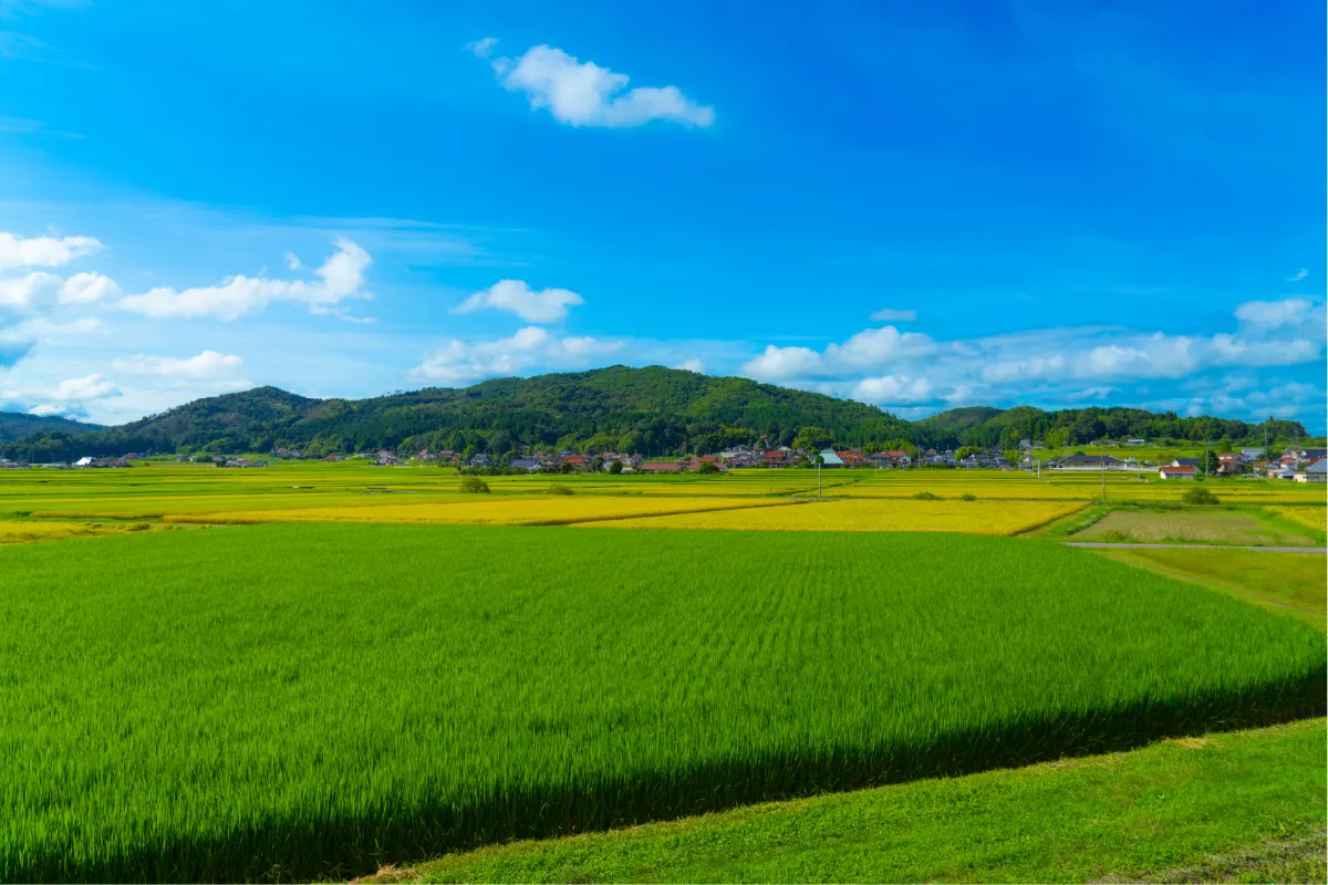 　日本原風景 日本の原風景がここに。癒しと郷愁のある里山に想いを馳せる旅へ。 ｜グランエントランス広島三原｜REST GLAMPING