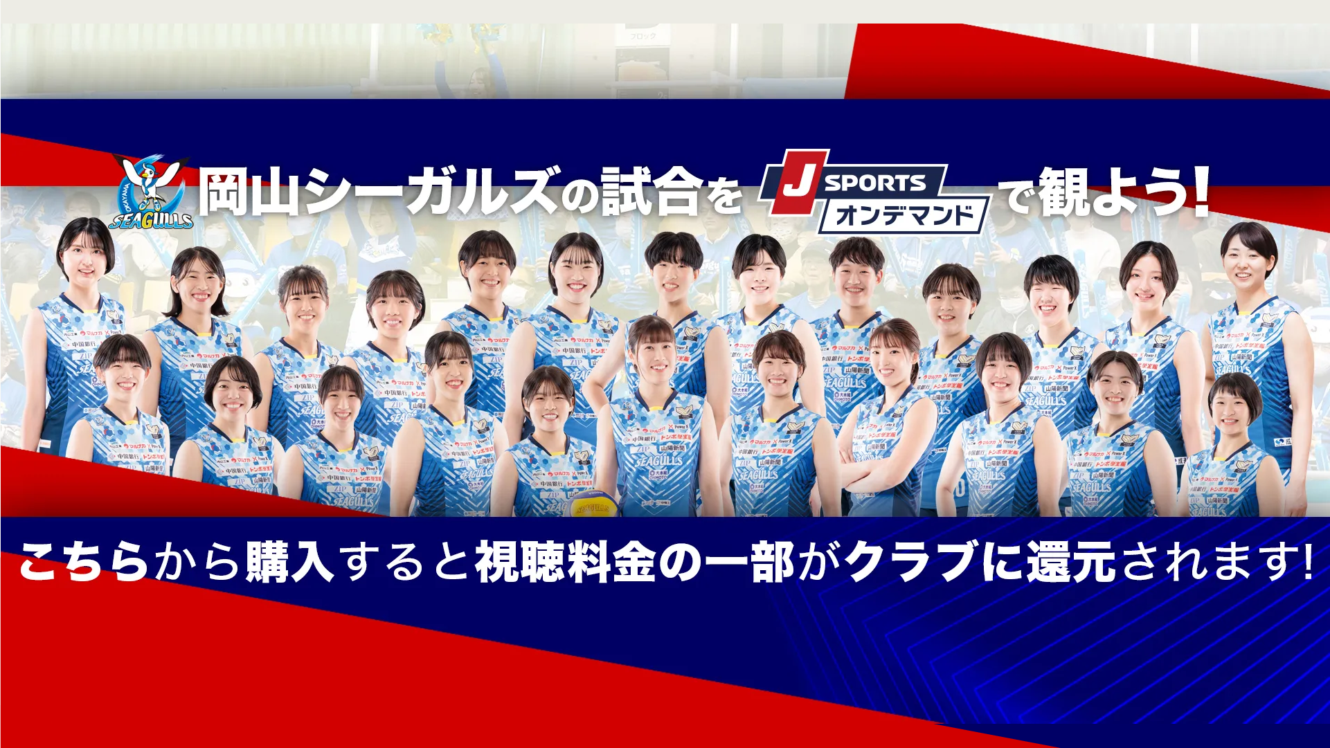 岡山シーガルズ公式サイト