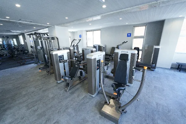 LifeFit