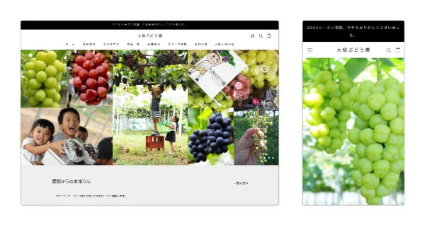 大塚ぶどう園　実績