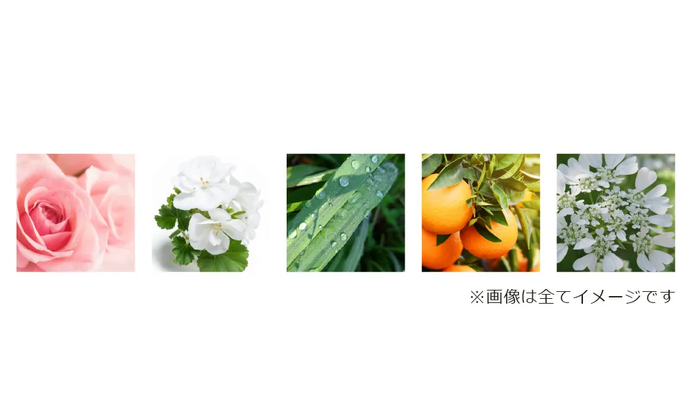 自分のニオイが気になり始めたら、香水を見直してみませんか？ ピカ子