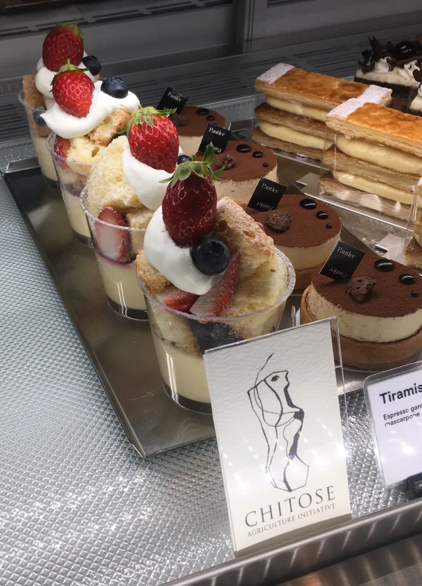 いちごさんセレクト 完熟とちあいか Grande（グランデ） 270g 2パック 栃木県産