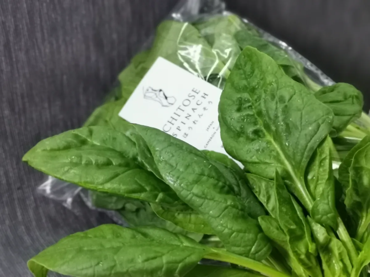 Chitose Agriculture Initiative 千年農業