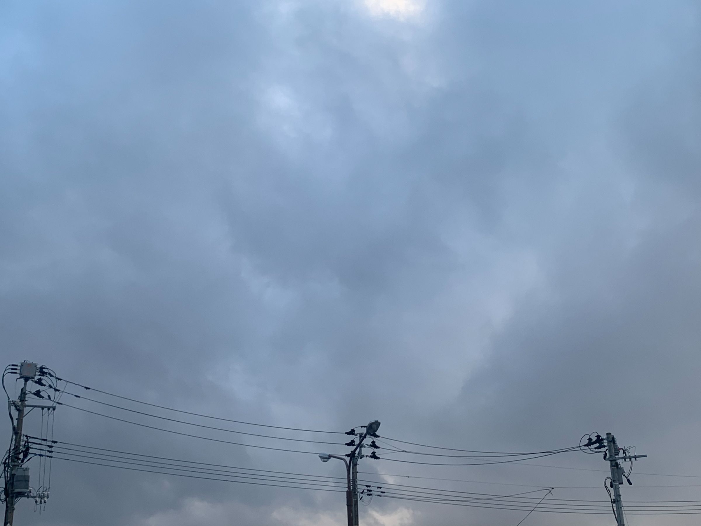 betcover!!『卵』に関する、ひとつの大きな誤読といくつかの放言