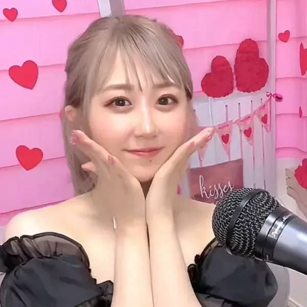 おせんべいちゃん様　専用です！ メイシーちゃん（TM）のおきにいり さんかくおむすびのお