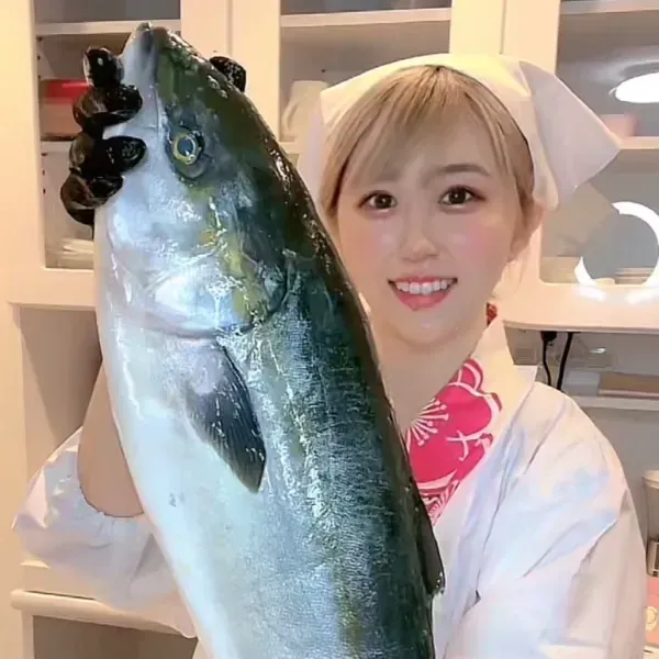 国民的せんべい | クリエイター紹介 | TimeTicket Production