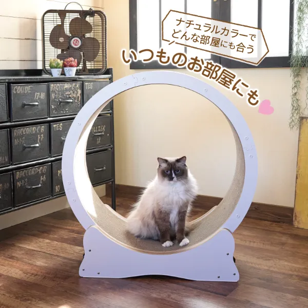 キャットホイール-株式会社ボンビアルコン